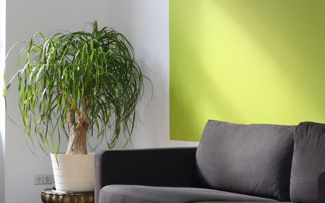 Peran Teknologi dalam Pelayanan Gizi Masyarakat Kabupaten Bangka Tengah