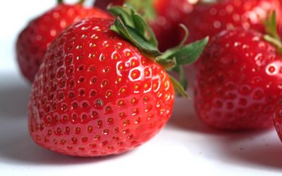 Keberhasilan Program UKS: Studi Kasus Kabupaten Bangka Tengah